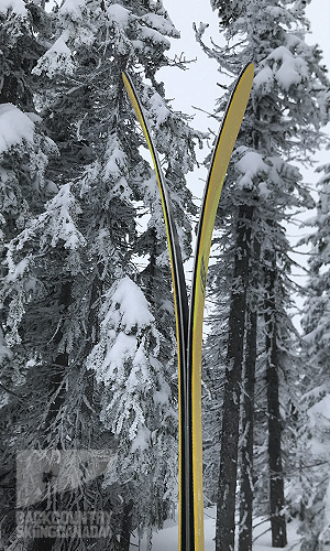 DPS Alchemist Wailer 100RP2 Skis